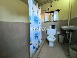 Vista 6