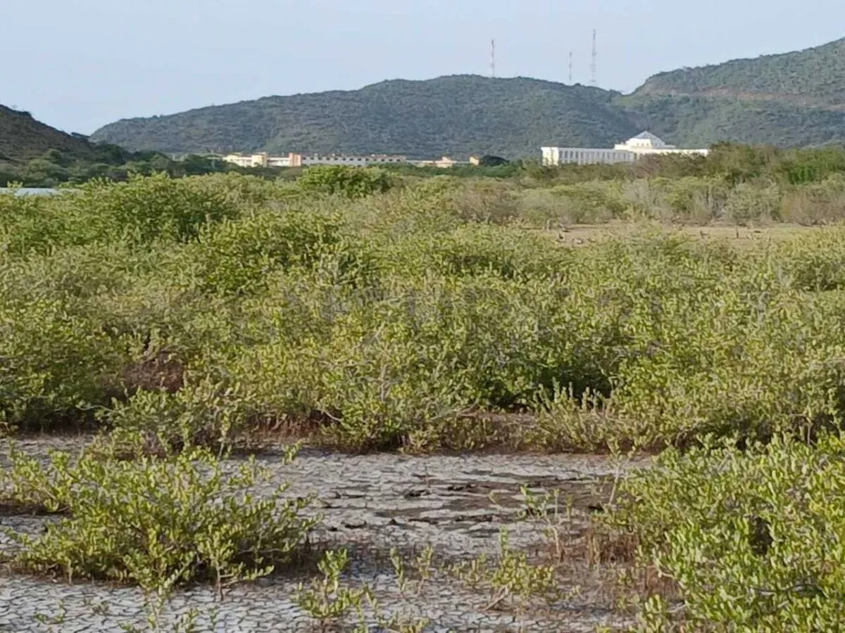 TERRENO EN VENTA. CERCA DE PLAYA ZARAGOZA. PEDROGONZALEZ.ISLA DE MARGARITA.