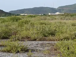 Vista 1