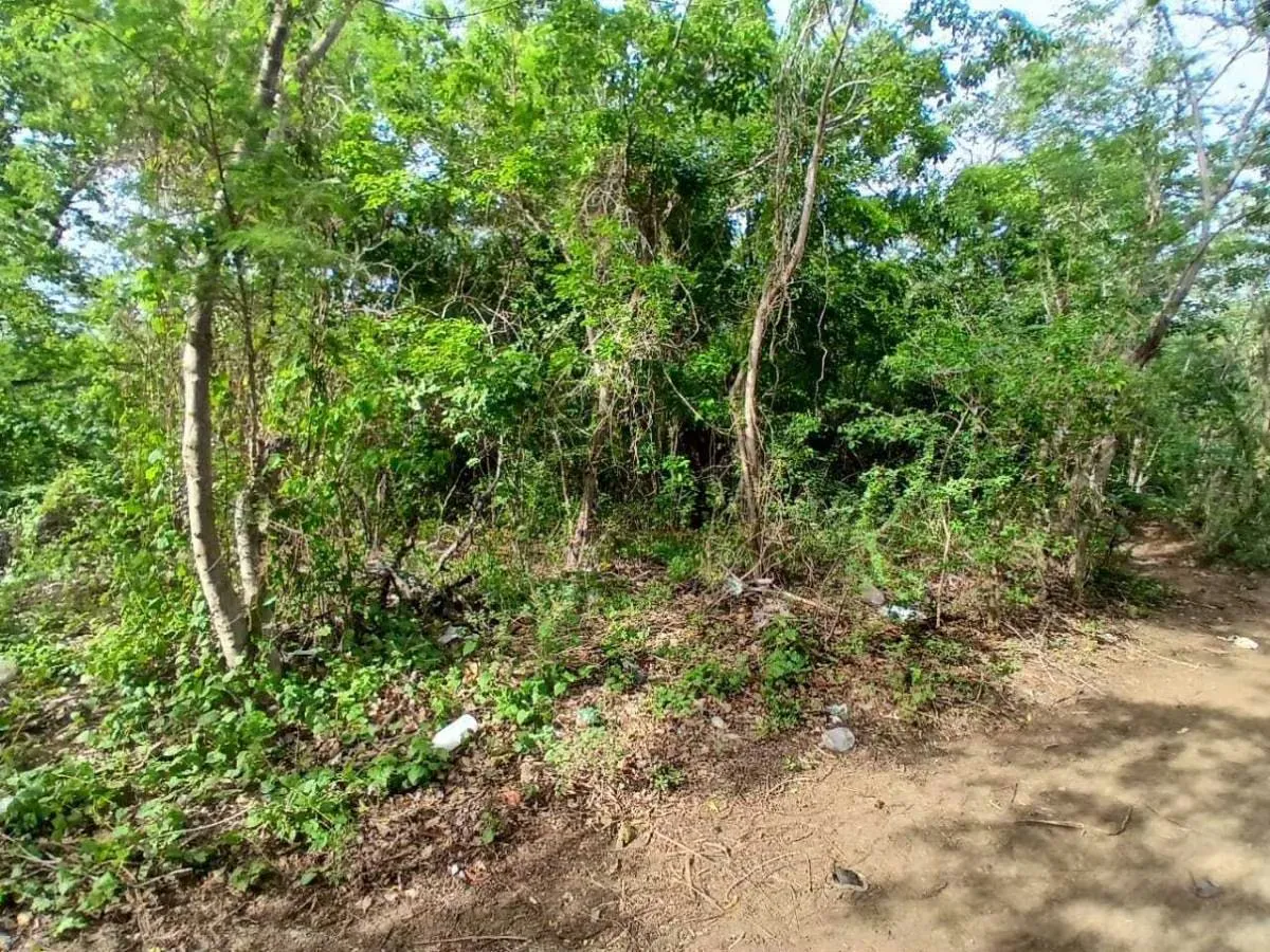 TERRENO EN VENTA. CERCA DE PLAYA ZARAGOZA. PEDROGONZALEZ.ISLA DE MARGARITA. - 11