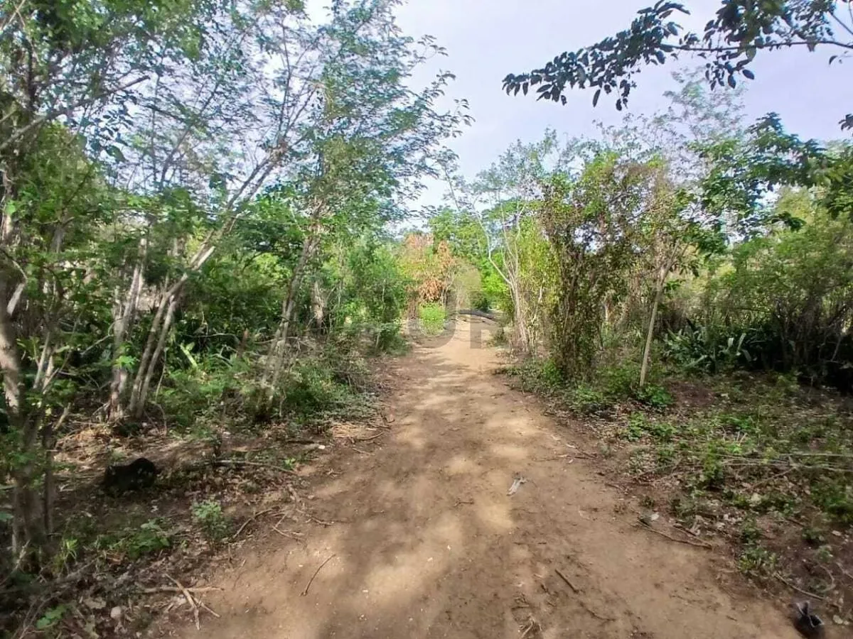 TERRENO EN VENTA. CERCA DE PLAYA ZARAGOZA. PEDROGONZALEZ.ISLA DE MARGARITA. - 12