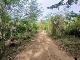 Vista 12