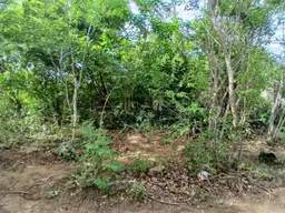 Vista 13