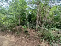 Vista 14