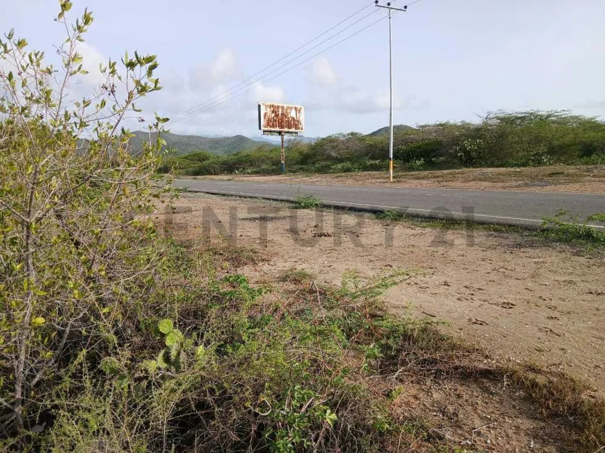 TERRENO EN VENTA. CERCA DE PLAYA ZARAGOZA. PEDROGONZALEZ.ISLA DE MARGARITA. - 3