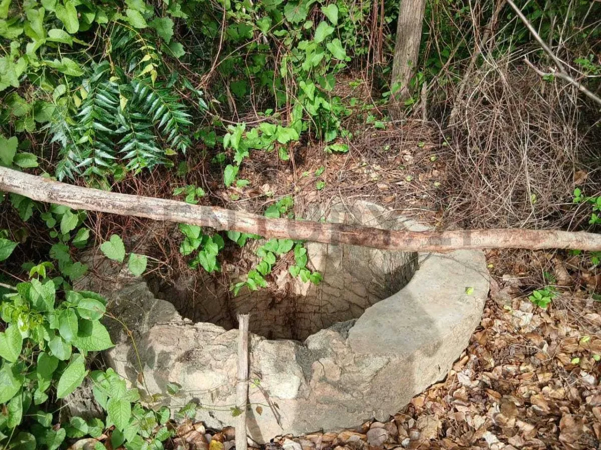 TERRENO EN VENTA. CERCA DE PLAYA ZARAGOZA. PEDROGONZALEZ.ISLA DE MARGARITA. - 5