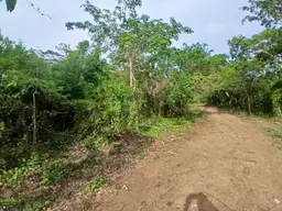 Vista 9