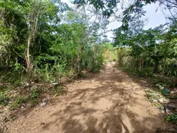 Vista 10