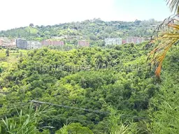 View 14