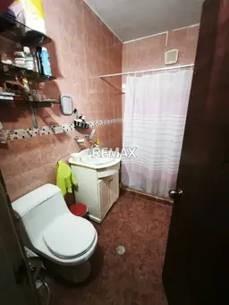 Vista 11
