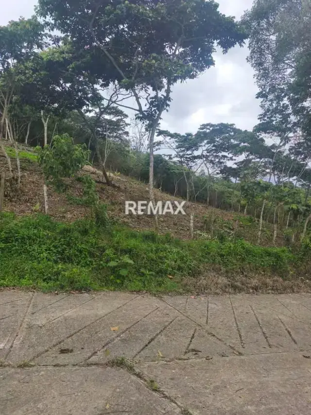 Venta de Terreno en Caneyes Sector Caneyes