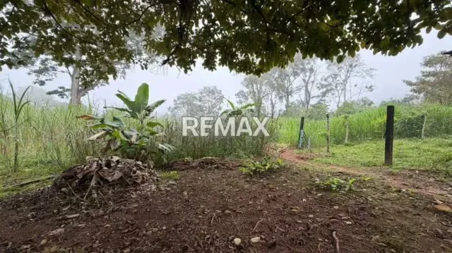 Venta de Terreno en Caneyes Sector Caneyes - 3