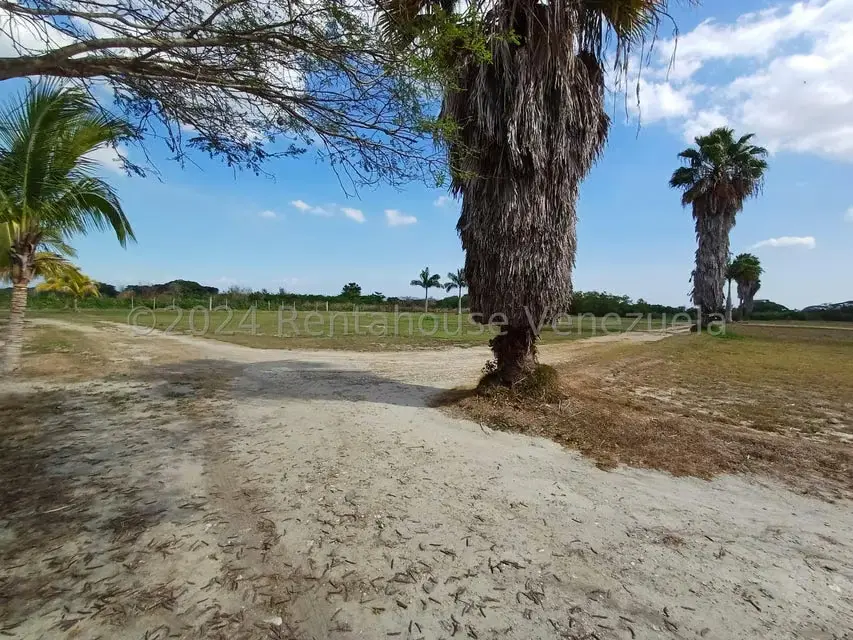 Terreno (Comercial) en Venta en Municipio Peña, Yaracuy - 4