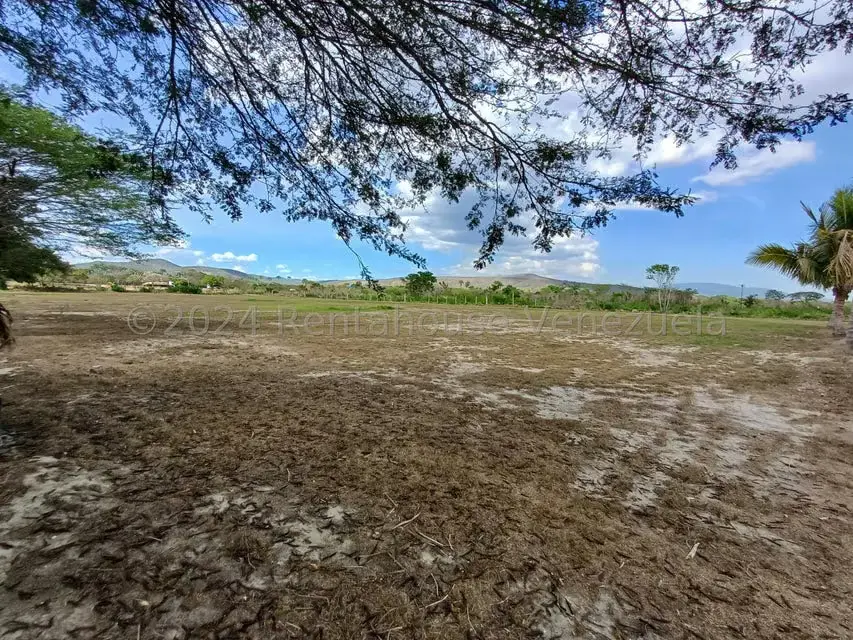 Terreno (Comercial) en Venta en Municipio Peña, Yaracuy - 5