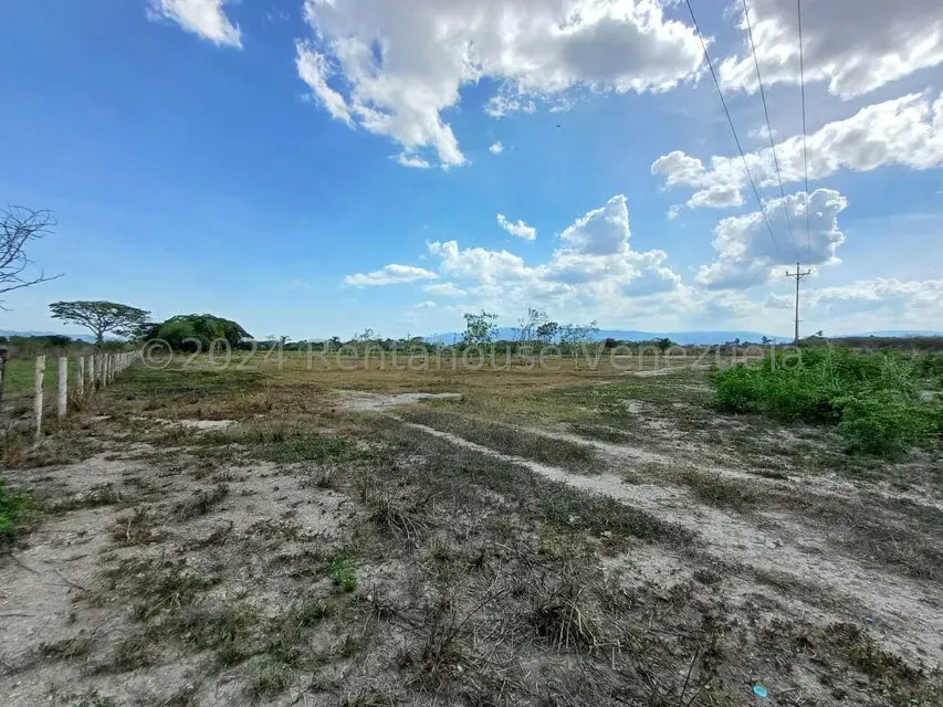 Terreno (Comercial) en Venta en Municipio Peña, Yaracuy - 8