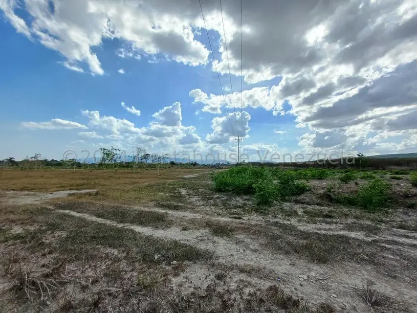 Terreno (Comercial) en Venta en Municipio Peña, Yaracuy - 9