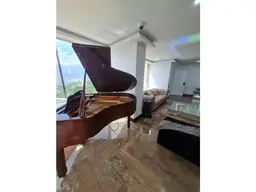 Vista 8