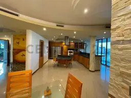 Vista 19