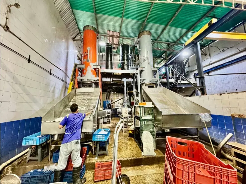 Se vende parcela + fábrica de hielo Catia La Mar - 4