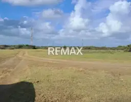 View 1