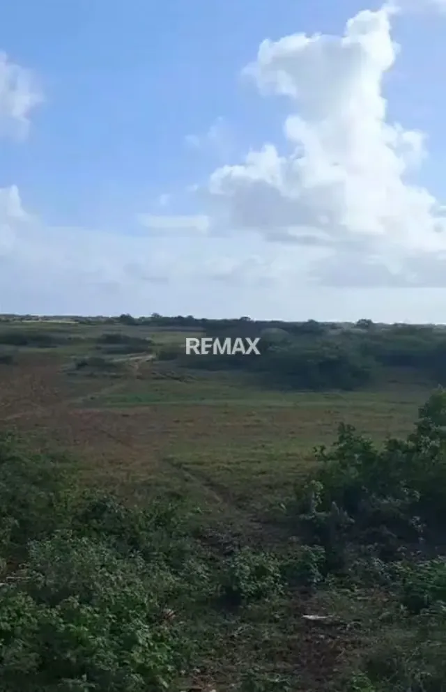 Venta de 2 lotes de terreno en San Juan de Los Cayos - 13