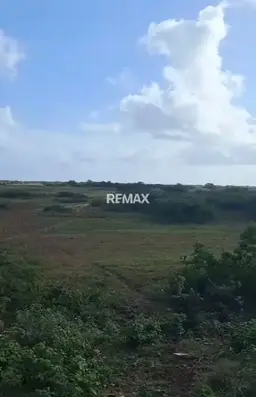 View 13