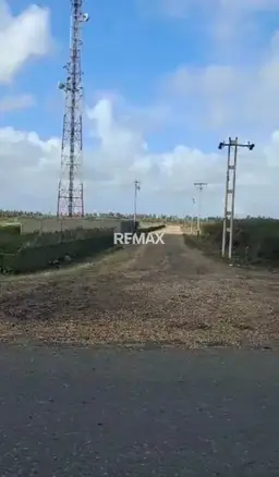 View 14