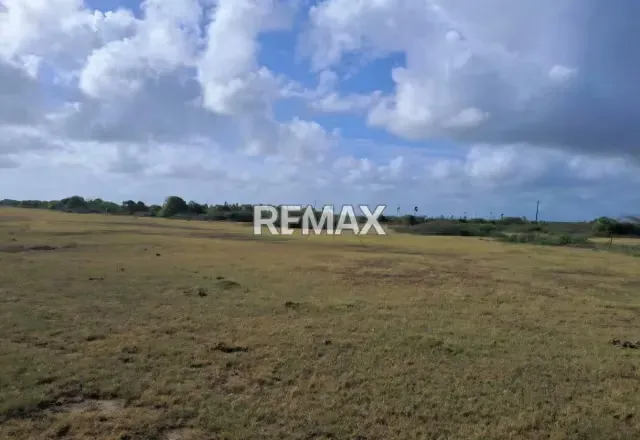 Venta de 2 lotes de terreno en San Juan de Los Cayos - 2