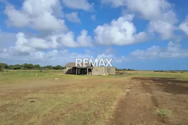 Venta de 2 lotes de terreno en San Juan de Los Cayos - 3