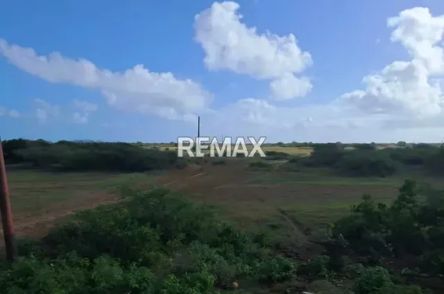 Venta de 2 lotes de terreno en San Juan de Los Cayos - 7