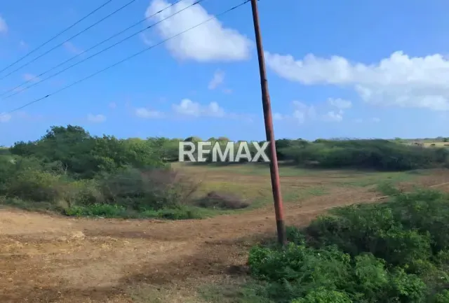 Venta de 2 lotes de terreno en San Juan de Los Cayos - 8