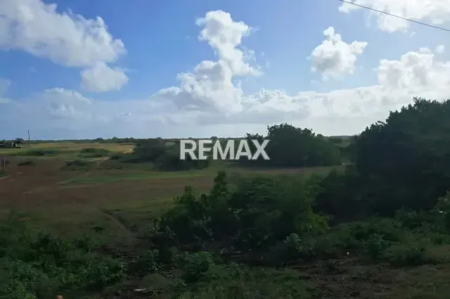 Venta de 2 lotes de terreno en San Juan de Los Cayos - 9
