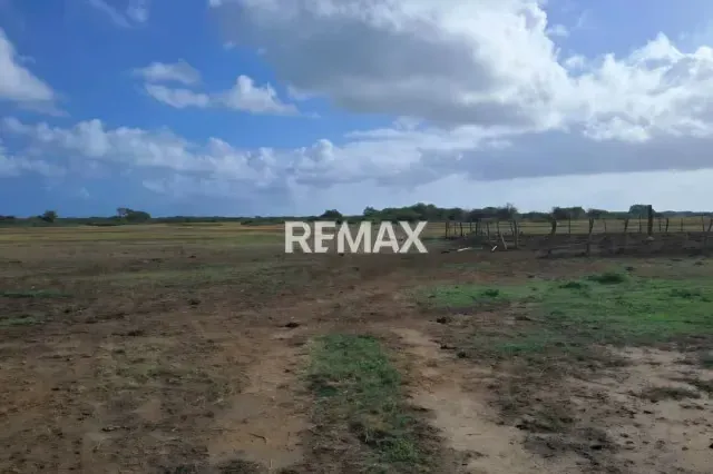Venta de 2 lotes de terreno en San Juan de Los Cayos - 10