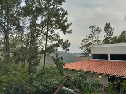 Vista 49