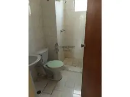 Vista 5