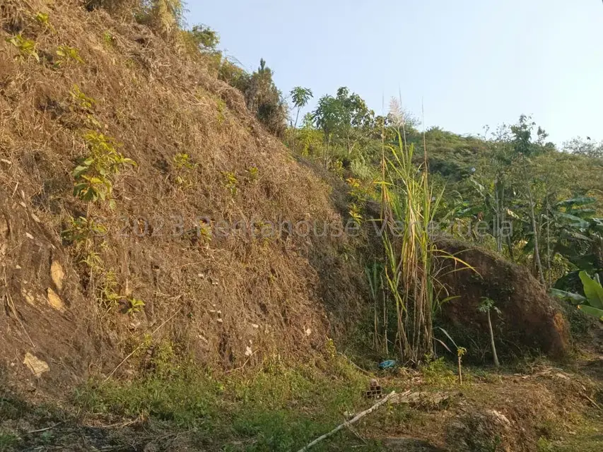 Terreno (Residencial) en Venta en Baruta, Distrito Metropolitano - 16