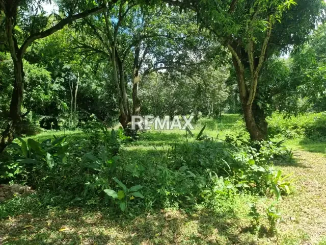 EN VENTA TERRENO PROPIO UBICADO EN EL CLUB RESIDENCIAL ECOLÓGICO ARMONÍA - 3