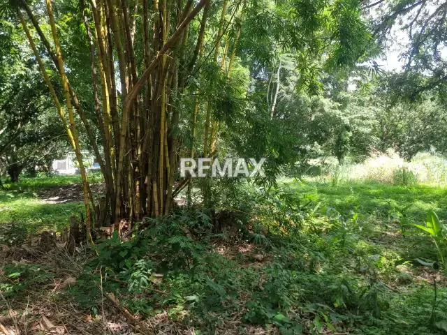 EN VENTA TERRENO PROPIO UBICADO EN EL CLUB RESIDENCIAL ECOLÓGICO ARMONÍA - 4