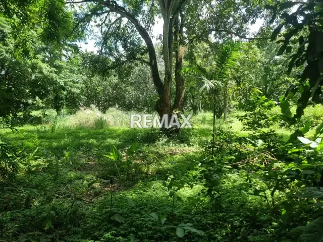 EN VENTA TERRENO PROPIO UBICADO EN EL CLUB RESIDENCIAL ECOLÓGICO ARMONÍA - 5