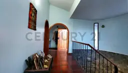 Vista 6