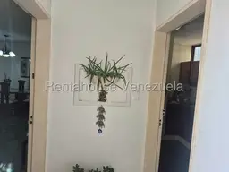 Vista 4