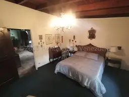 Vista 19