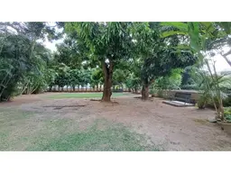 Vista 24