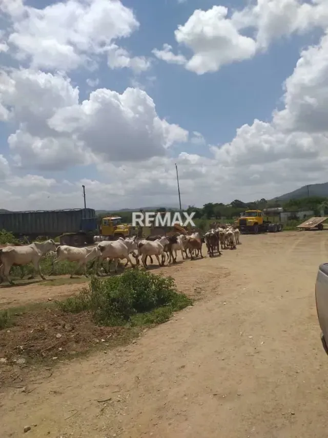 Se vende finca agroindustrial a 5 minutos de cabudare - 2