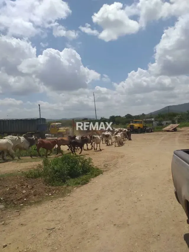 Se vende finca agroindustrial a 5 minutos de cabudare - 5