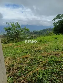 View 4