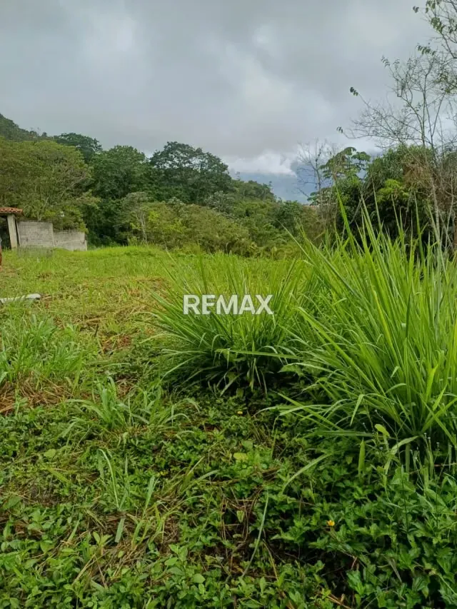 EN VENTA TERRENO EN LA URBANIZACION KARIMAO - 5