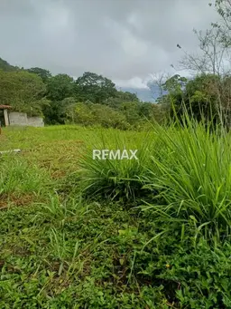 View 5