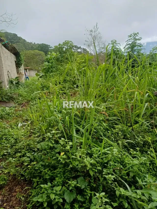 EN VENTA TERRENO EN LA URBANIZACION KARIMAO - 6