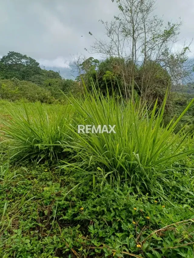 EN VENTA TERRENO EN LA URBANIZACION KARIMAO - 7